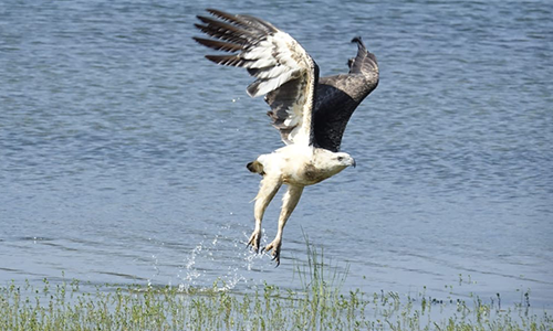 Kumana National Park